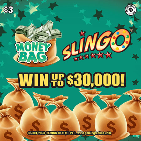 MONEY BAG SLINGO