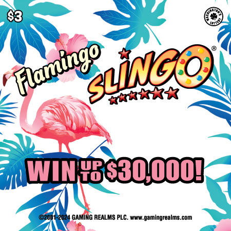 FLAMINGO SLINGO