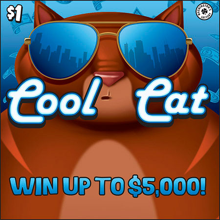 COOL CAT